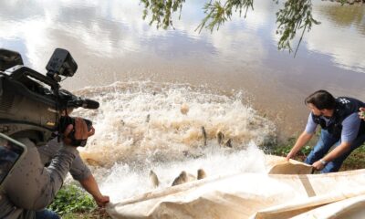 parque-antenor-martins-recebe-2,5-toneladas-de-peixes-para-festa-da-pascoa-–-portal-prefeitura-de-dourados