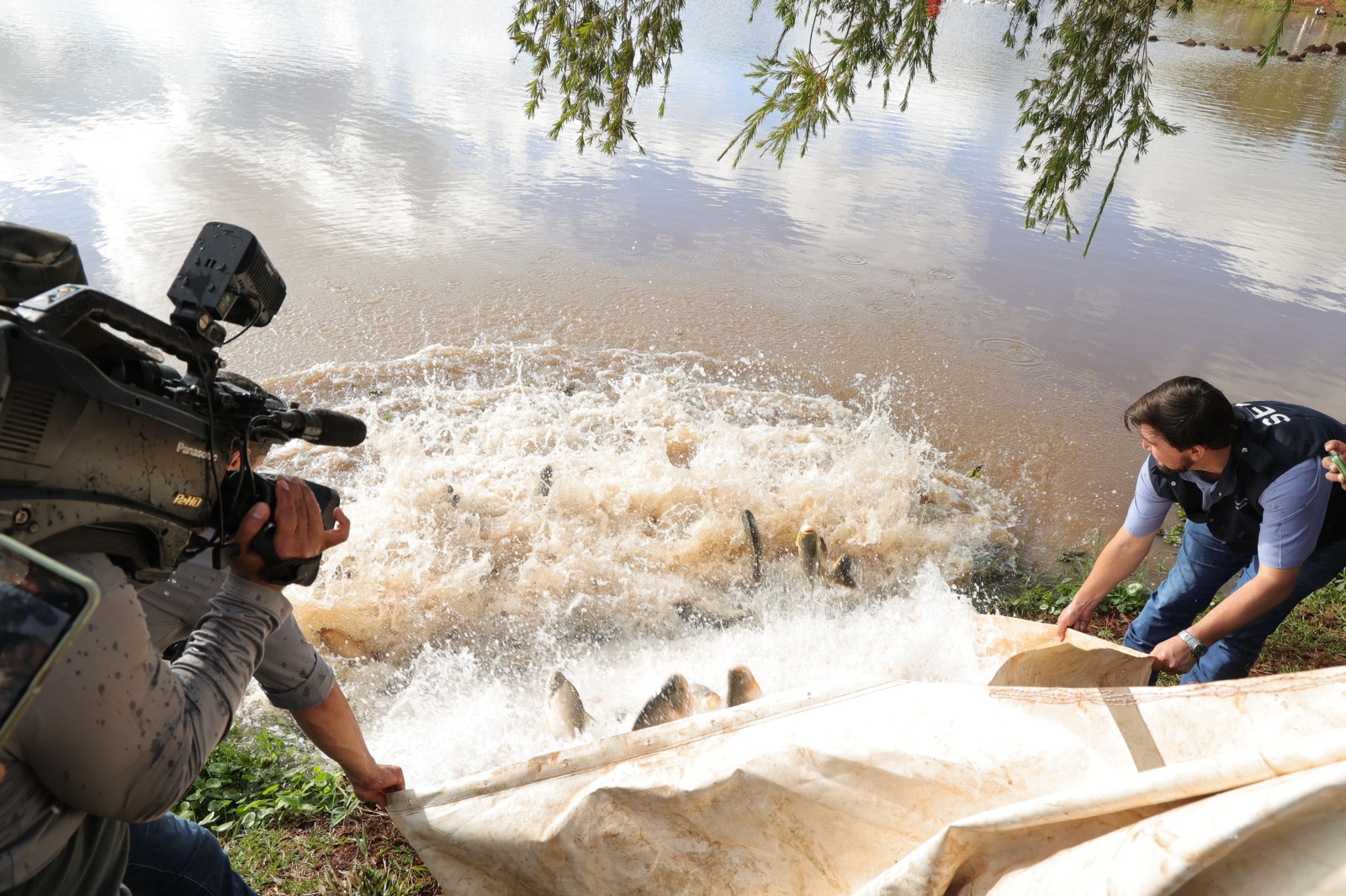parque-antenor-martins-recebe-2,5-toneladas-de-peixes-para-festa-da-pascoa-–-portal-prefeitura-de-dourados