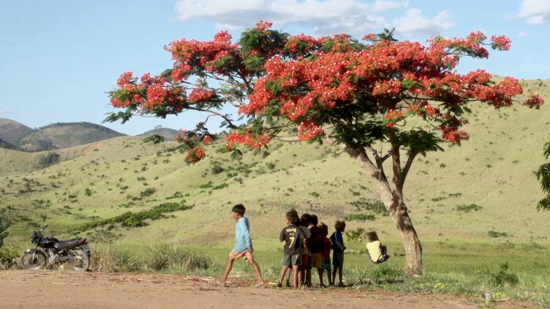 serie-dirigida-por-cineasta-indigena-de-ms-sera-lancada-em-plataforma-de-streaming-gratuita