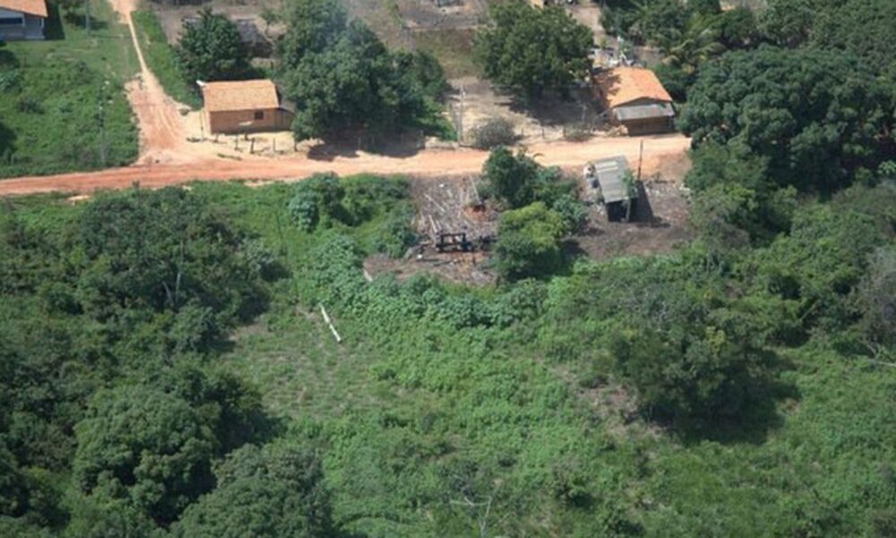 desintrusao-da-terra-indigena-arariboia-gera-r$-956-mil-em-infracoes