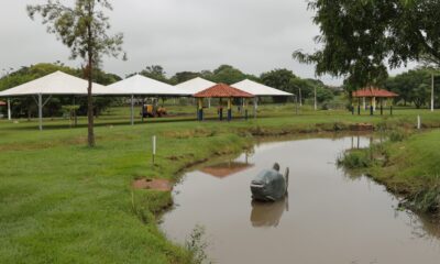 festa-da-pascoa-comeca-nesta-quinta-no-parque-antenor-martins-com-entrada-franca-–-portal-prefeitura-de-dourados