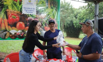 festa-da-pascoa-tem-promocao-de-peixes-com-selo-de-inspecao-neste-final-de-semana-–-portal-prefeitura-de-dourados