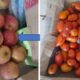 empresa-que-fraudou-licitacao-entregava-alimentos-podres-para-merenda-de-criancas-em-ms