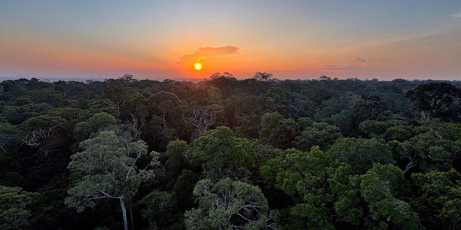 comeca-hoje-em-brasilia-a-5a-conferencia-nacional-do-meio-ambiente