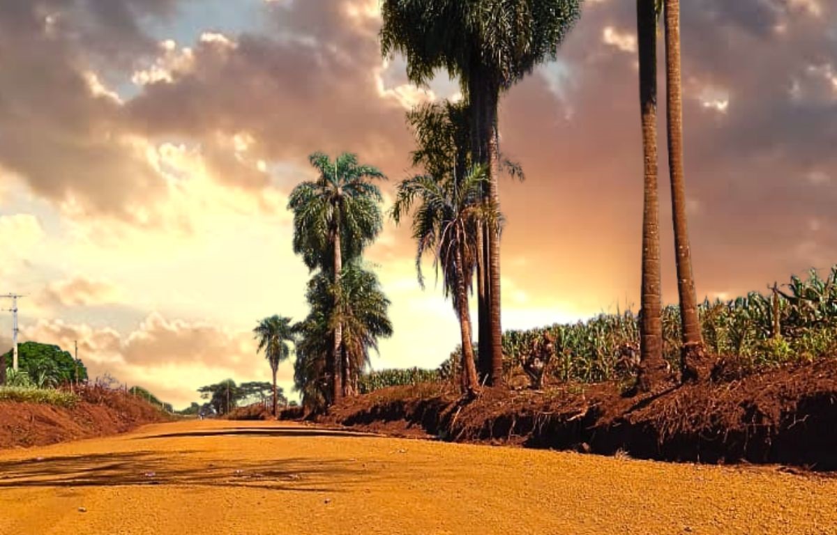 prefeitura-realiza-patrolamento-e-cascalhamento-no-travessao-do-castelo-–-portal-prefeitura-de-dourados