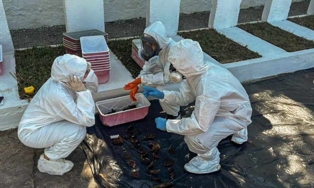 rio:-equipe-encontra-memorial-para-mortos-da-ditadura-em-deterioracao