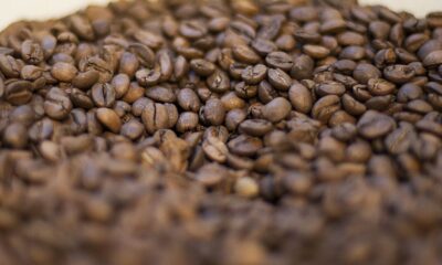 governo-reprova-tres-marcas-de-cafe-por-serem-improprias-para-consumo