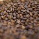 governo-reprova-tres-marcas-de-cafe-por-serem-improprias-para-consumo