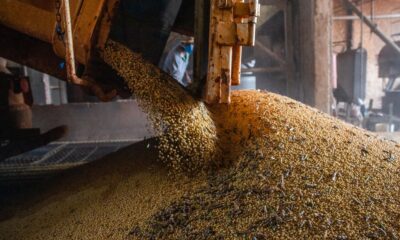 pib-atinge-patamar-recorde-pelo-14o-trimestre-seguido