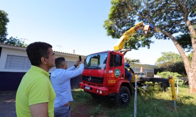 prefeitura-leva-servico-de-podas-preventivas-de-arvores-para-a-regiao-da-vila-hilda-–-portal-prefeitura-de-dourados