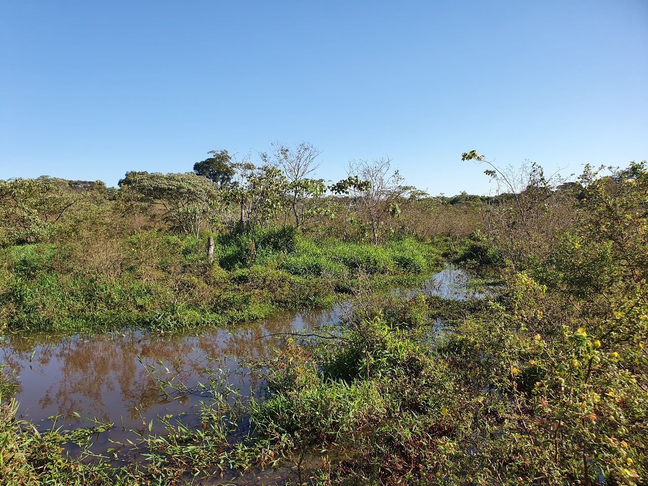 prefeitura-intensifica-atividades-no-dia-mundial-do-meio-ambiente-–-portal-prefeitura-de-dourados
