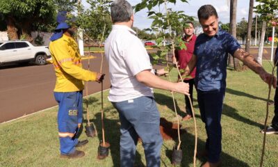 no-dia-mundial-do-meio-ambiente,-prefeito-faz-plantio-de-ipes-na-marcelino-pires-–-portal-prefeitura-de-dourados