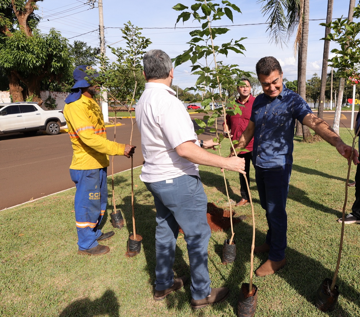no-dia-mundial-do-meio-ambiente,-prefeito-faz-plantio-de-ipes-na-marcelino-pires-–-portal-prefeitura-de-dourados