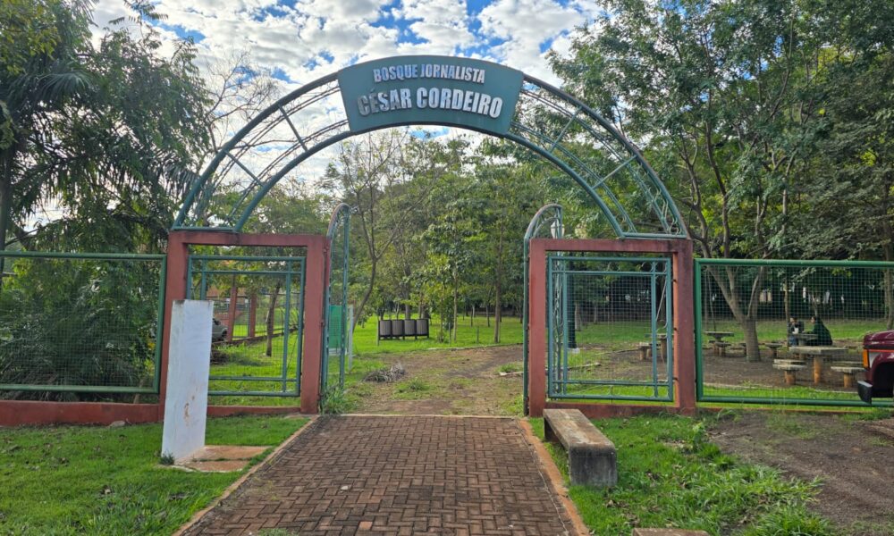 perifeirarte-comeca-nesta-quinta-feira-unindo-arte,-capacitacao-e-cidadania-–-portal-prefeitura-de-dourados