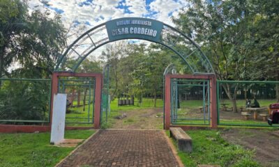 perifeirarte-comeca-nesta-quinta-feira-unindo-arte,-capacitacao-e-cidadania-–-portal-prefeitura-de-dourados