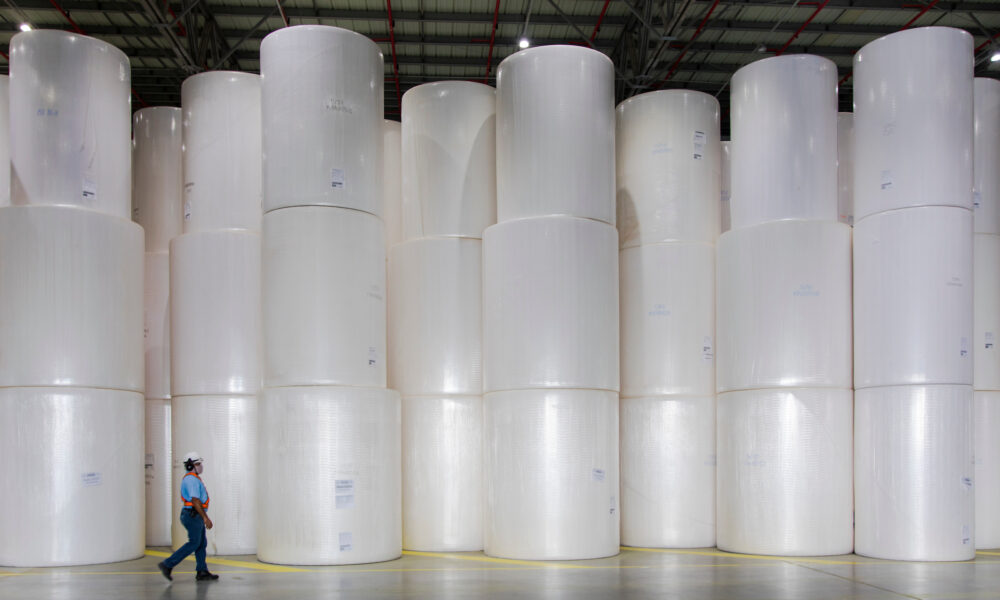 suzano:-por-que-goldman-sachs-acredita-que-este-e-o-momento-de-comprar-suzb3?