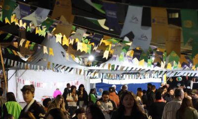 festa-junina-a-shows:-confira-a-agenda-cultural-deste-domingo