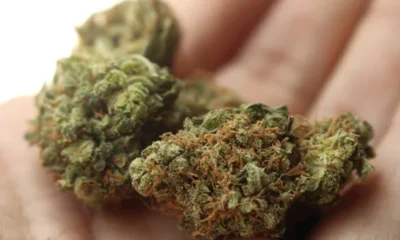 droga-e-apreendida-durante-revista-de-rotina-em-cela-de-presidio-em-dourados-–-folha-de-dourados-–-noticias-de-dourados-ms-e-regiao