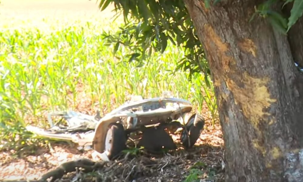 identificados-pai-e-filho-mortos-em-acidente-com-fusca-que-se-partiu-ao-meio-–-folha-de-dourados-–-noticias-de-dourados-ms-e-regiao