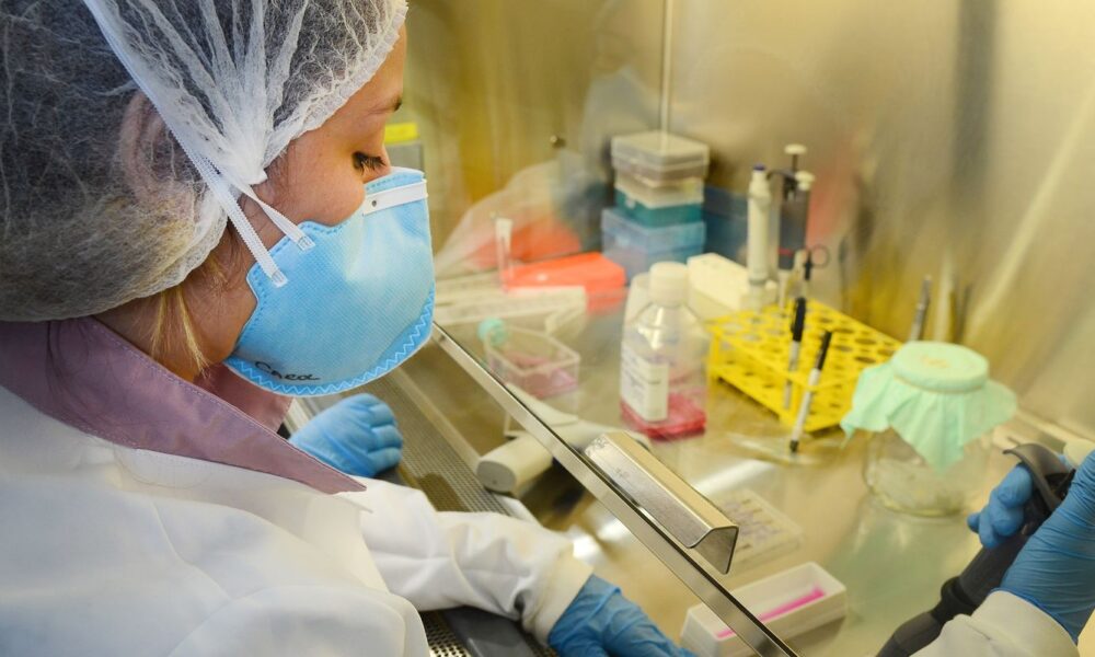 usp:-pesquisa-de-vacina-contra-zika-avanca-em-testes-com-camundongos