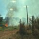 video:-fogo-em-vegetacao-se-espalha-e-se-aproxima-de-casas-em-campo-grande