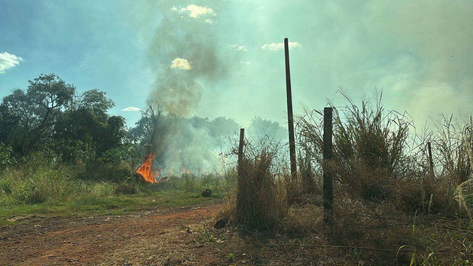 video:-fogo-em-vegetacao-se-espalha-e-se-aproxima-de-casas-em-campo-grande