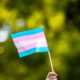 comite-olimpico-dos-eua-proibe-mulheres-trans-em-competicoes-femininas