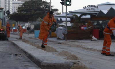 apos-ondas-gigantes,-cinco-pinguins-aparecem-mortos-na-orla-do-rio