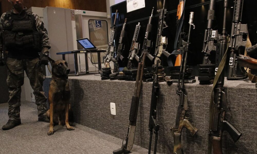 acoes-da-pm-apreendem-fuzis,-metralhadoras-e-drogas-no-rio-de-janeiro