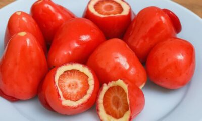 conselho-federal-de-odontologia-alerta-sobre-riscos-do-morango-do-amor