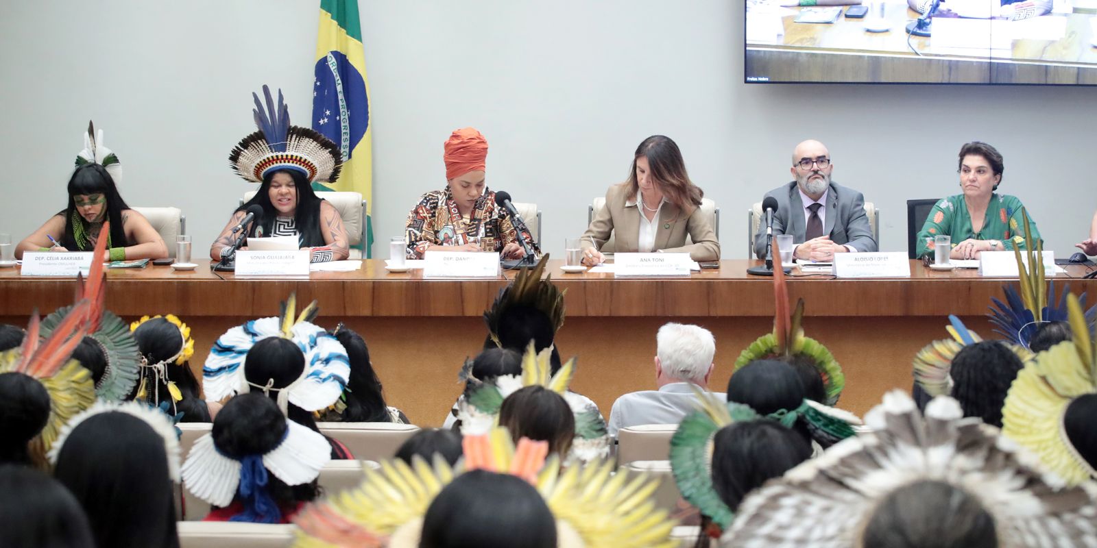 brasil-monitora-direitos-de-indigenas-e-mulheres-em-metas-da-cop30