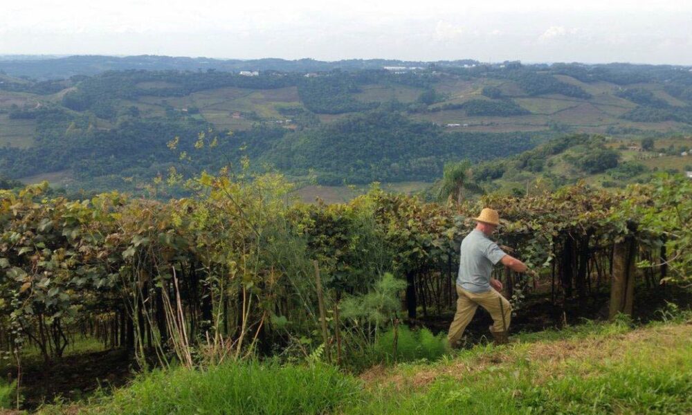 entrega-da-declaracao-do-itr-2025-comeca-nesta-segunda-feira