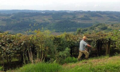 entrega-da-declaracao-do-itr-2025-comeca-nesta-segunda-feira