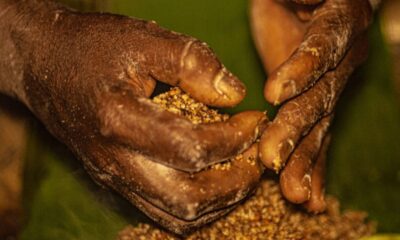 go:-grileiros-ameacam-pesquisadores-do-incra-em-area-com-quilombolas