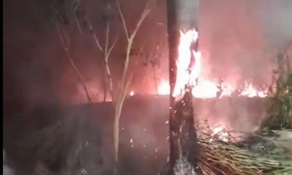 video:-queima-de-fios-de-cobre-causa-grande-incendio-em-mata-no-silvia-regina