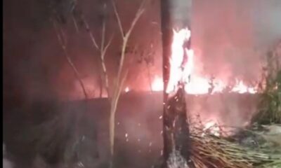 video:-queima-de-fios-de-cobre-causa-grande-incendio-em-mata-no-silvia-regina