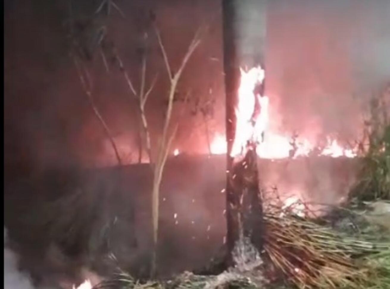 video:-queima-de-fios-de-cobre-causa-grande-incendio-em-mata-no-silvia-regina