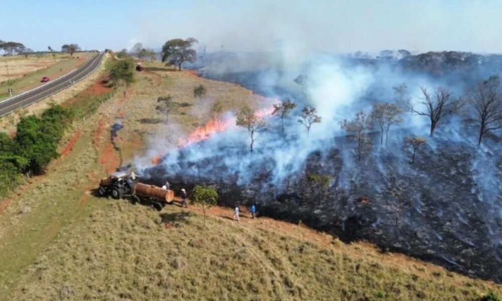 rompimento-de-cabo-de-energia-pode-ter-causado-incendio-em-fazenda