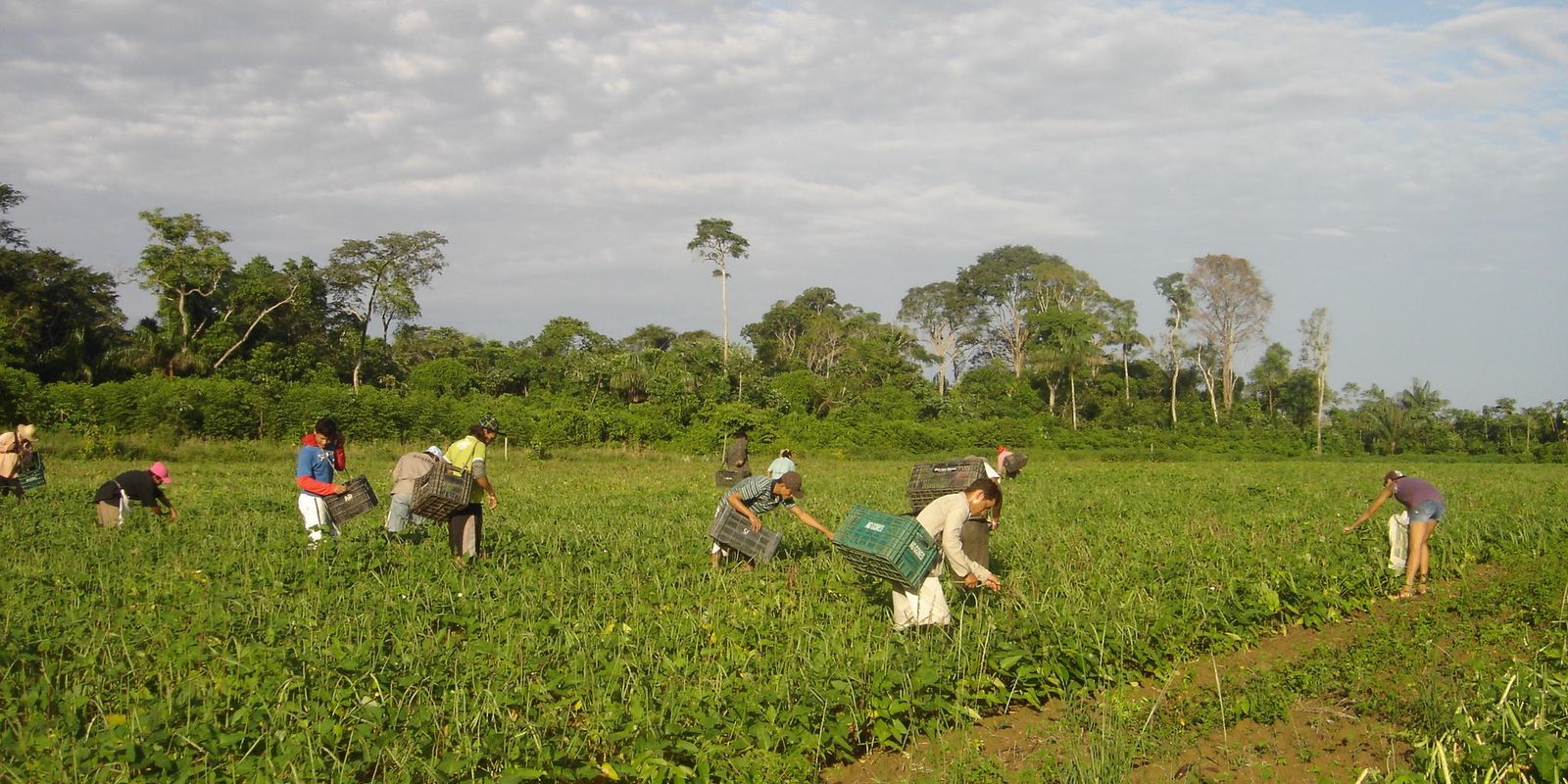programa-agroamigo-oferece-r$-1-bilhao-em-microcredito