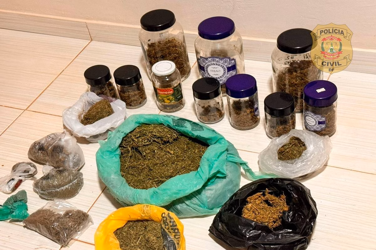 bolsista-da-fiotec-e-preso-por-plantar-maconha-em-condominio -–-folha-de-dourados-–-noticias-de-dourados-ms-e-regiao