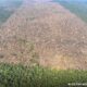 desmatamento-e-responsavel-por-mais-de-28-mil-mortes-anuais-por-calor