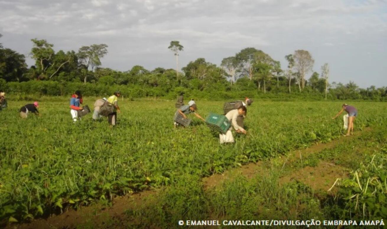 lista-de-desconto-em-credito-para-a-agricultura-familiar-e-ampliada