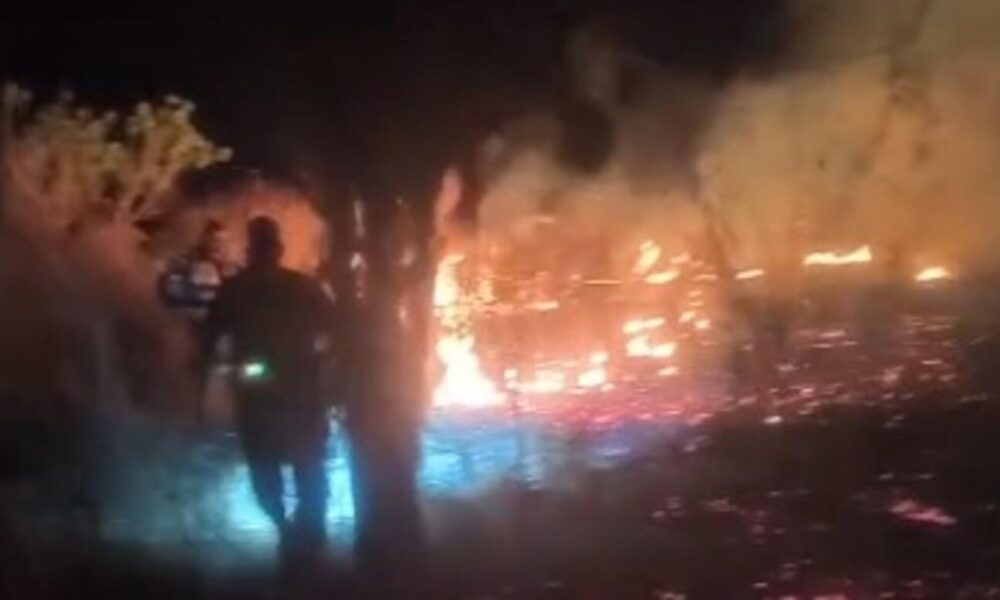 video:-moradores-de-assentamento-combatem-incendios-em-vegetacao