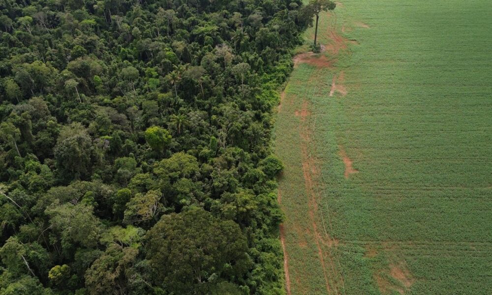 brasil-apresenta-solucoes-de-financiamento-climatico-em-nova-york