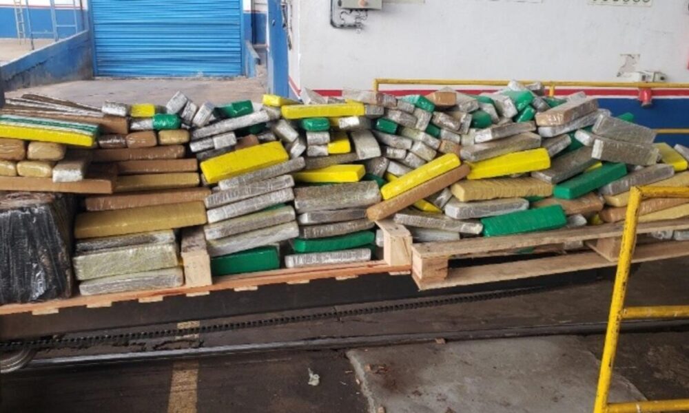 policia-incinera-mais-de-duas-toneladas-de-drogas-em-itaquirai