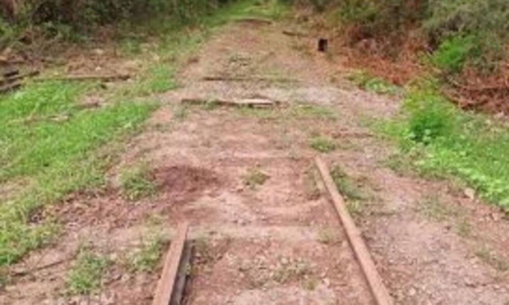 concessionaria-e-multada-em-r$-2,1-milhoes-por-remover-trilhos-de-ferrovia-em-ms-que-deveria-manter