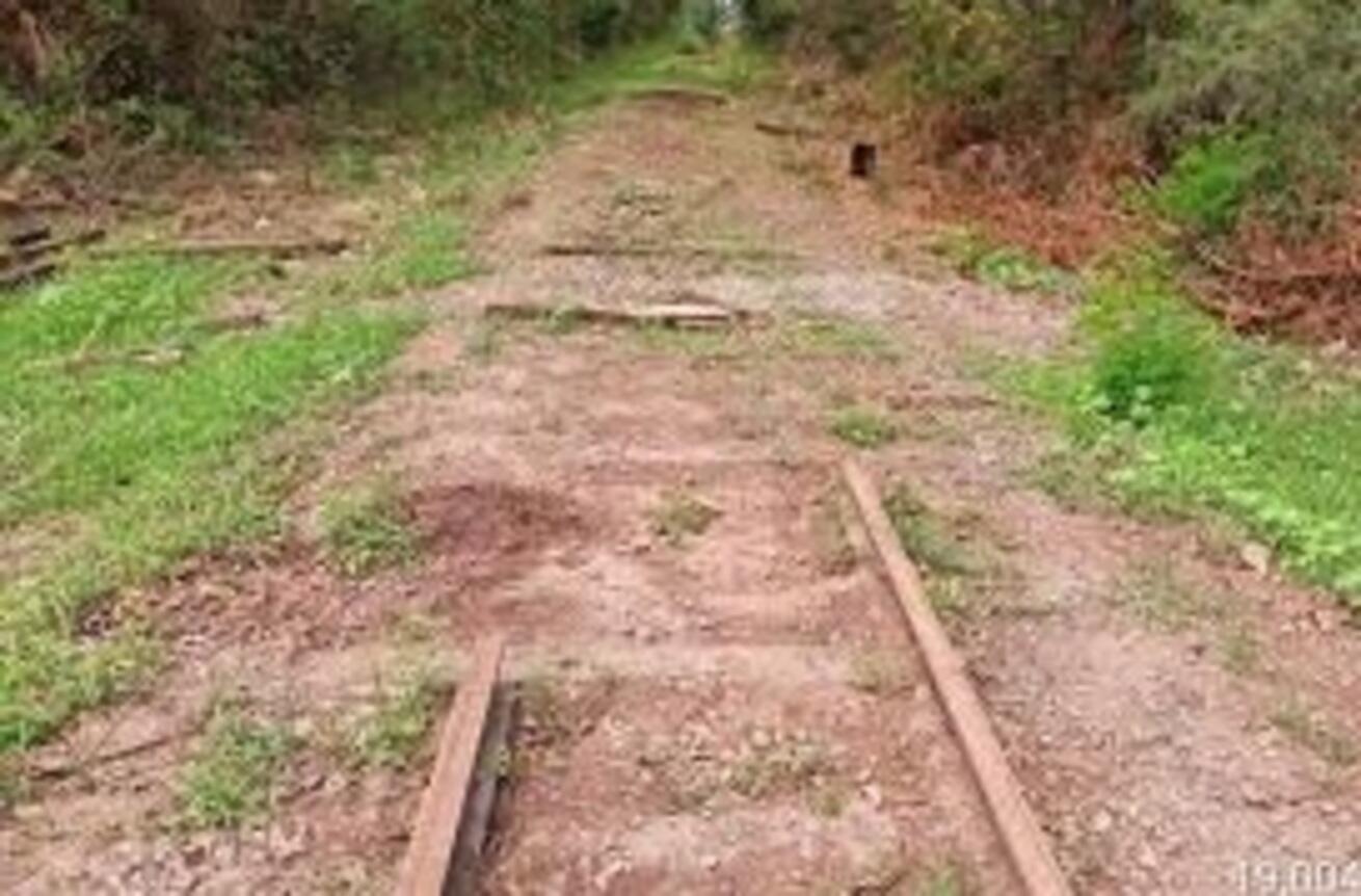 concessionaria-e-multada-em-r$-2,1-milhoes-por-remover-trilhos-de-ferrovia-em-ms-que-deveria-manter