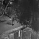 homem-e-surpreendido-e-morto-a-tiros-enquanto-andava-de-bicicleta-–-folha-de-dourados-–-noticias-de-dourados-ms-e-regiao