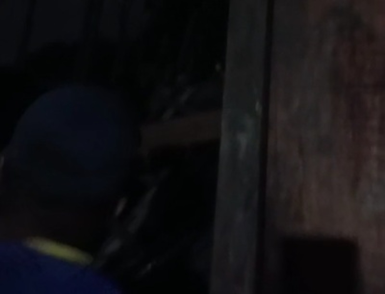 video:-eucalipto-cai-com-vendaval-e-destroi-barraco-na-cidade-dos-anjos