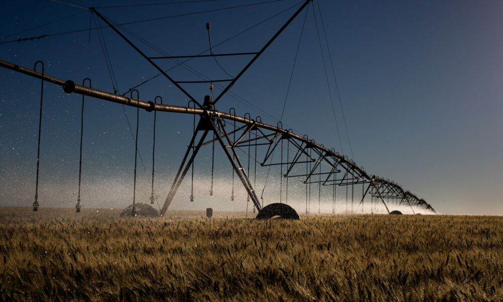 stf-retoma-julgamento-sobre-beneficios-fiscais-para-agrotoxicos